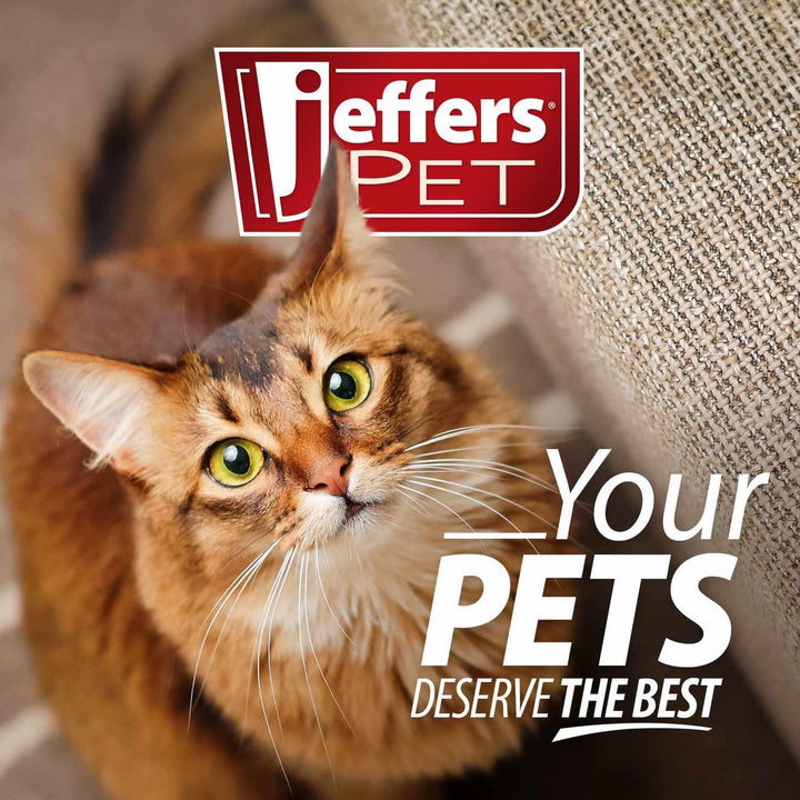 Pet Flea Buster Chewable Tablets for Cats and Kittens 7-15 Lbs, Tuna Flavor Supplements, Monthly Cat Flea Support, Made in USA, Easy to Feed Cat Tablets, Travel Friendly - 6 Count