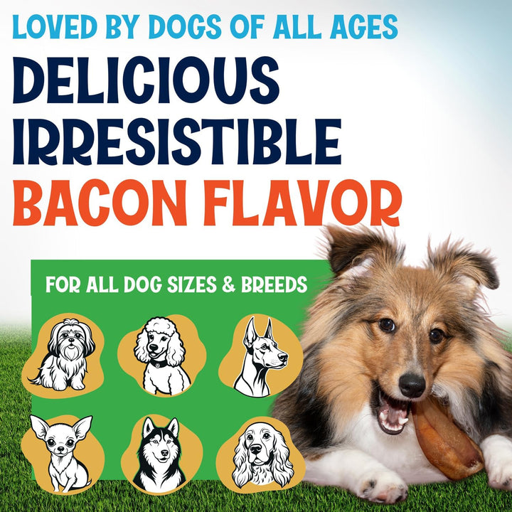 Whole Pig Ears for Dogs Large - 100 Pack Long Lasting Dog Chews - One Ingredient Delicious All Natural Flavor – Easy to Digest Dog Treat for Large Dogs - Great for Teeth and Gums