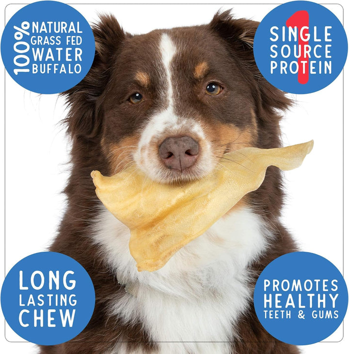 Grass Fed Water Buffalo Ear 16 Count (Pack of 1) Pig Ears for Dogs Alternative Free Range Long Lasting Dog Chew and Treat for Aggressive Chewers and Puppies