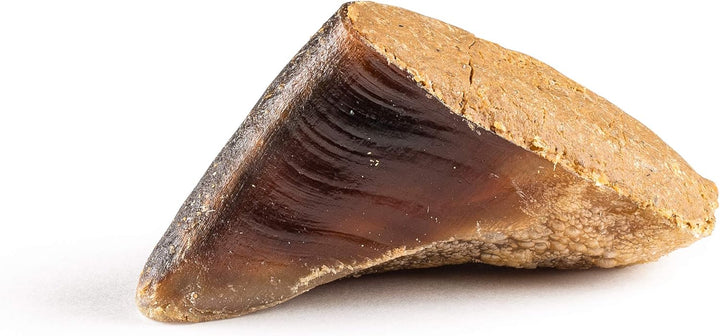 Filled Cow Hooves for Dogs, Cow Hoofs for Dogs, Natural Dog Chews, Stuffed Bones (Bully Stick Flavor) 5 Pack