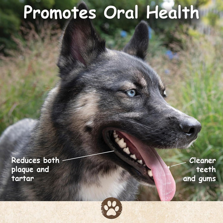 – 100 Pack, Pig Ears for Dogs, Whole, Full Uncut American Made, Single Ingredient, Thick, Large Dog Treat for Small, Medium or Large Breeds, Bulk Dog Chews (100 Pack)