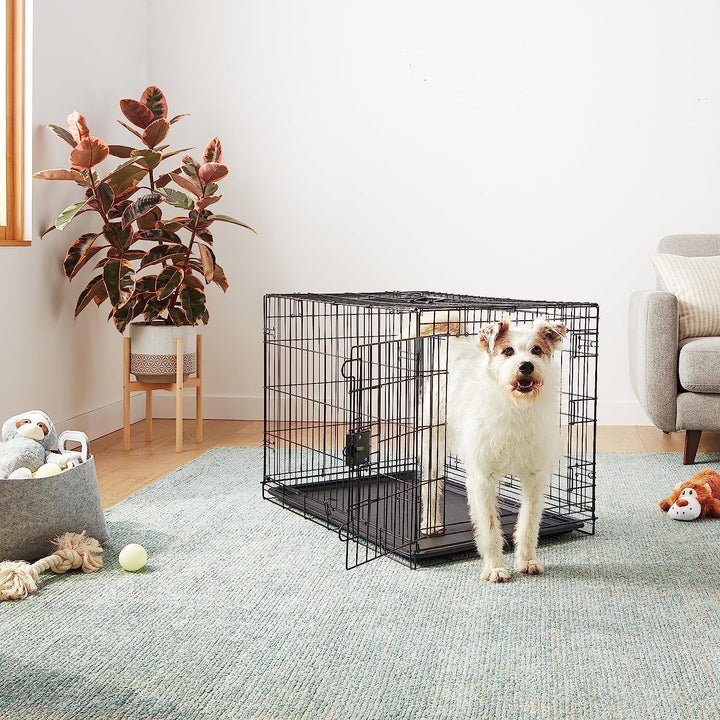 Durable, Foldable Metal Wire Dog Crate with Tray, Double Door, 36 X 23 X 25 In, Black