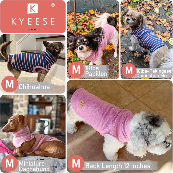2Pack Dog Sweater Soft Dogs Clothes Warm Dachshund Clothes Turtleneck Pets Coats Dog Sweaters for Small Dogs Girl Pullover Small Pet Sweaters Stretchy Pet Sweatshirt