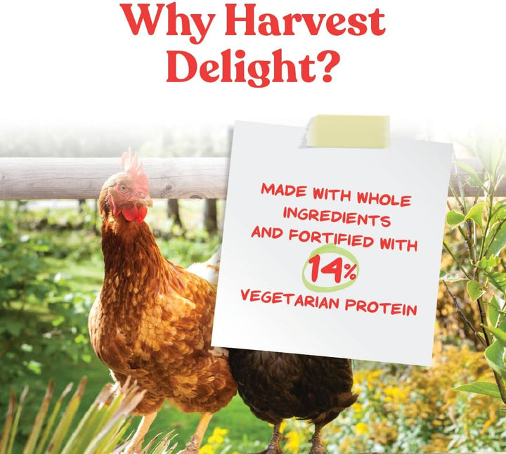 Harvest Delight - Whole Ingredient Chicken Treat - Harvest Mix of Grains, Raisins, Tomatoes, Carrots, Sunflower Seeds - Mixed Flock Poultry Treat - 2.5 Lbs
