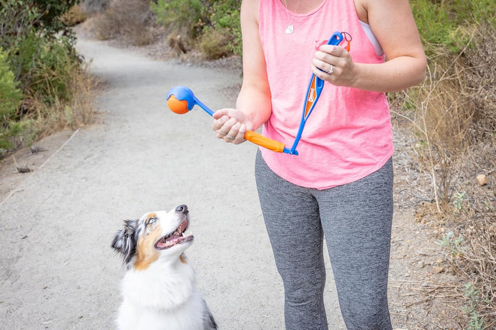 Fetch & Fold Mini 18M Dog Ball Launcher