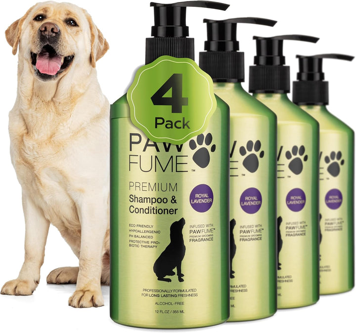 PAWFUME Deshedding Dog Shampoo and Conditioner, Show Dog, 1-Pack – Nourish & Detangle for Silky Soft Coat – Probiotic, Deep-Cleaning, Ph-Balanced Formula – Salon-Quality Shampoo for Dogs