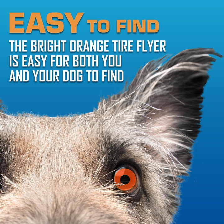 Atomic Flyer Outdoor Dog Toy, 10 Inch Flying Disc Dog Fetch Toy, Rubber Dog Toy for Medium Dogs and Large Dogs, Orange