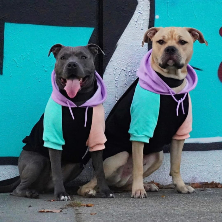 Dog Hoodie – Premium Dog Sweater for Small, Medium, and Large Dogs | Warm Outfits for French Bulldogs, Pitbull, Puppy, Winter Jacket Alternative - Cyber Punk - 3XL