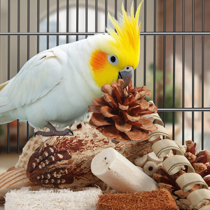 Bird Toys Parrot Toys Natural Bird Foraging Box Foot for Parakeets,Cockatiels,Conures,Love Birds,And Other Small to Medium Birds (Medium)