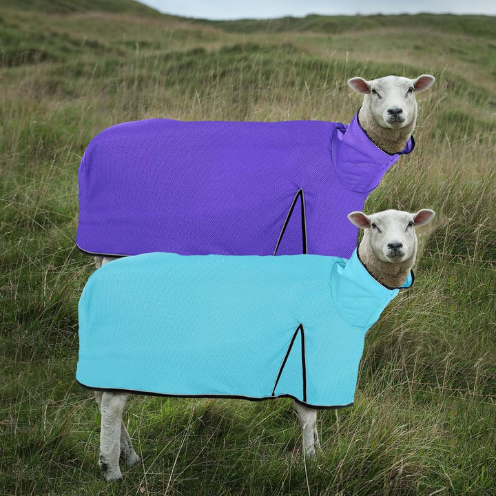 2 Pcs Sheep Blanket Mesh Medium Goat Blanket with Mesh Butt and Adjustable Belly Strap Fits Lambs 110-140 Lbs for Show Lambs, Offers Effective Protection from Fly Bites (Blue, Purple)
