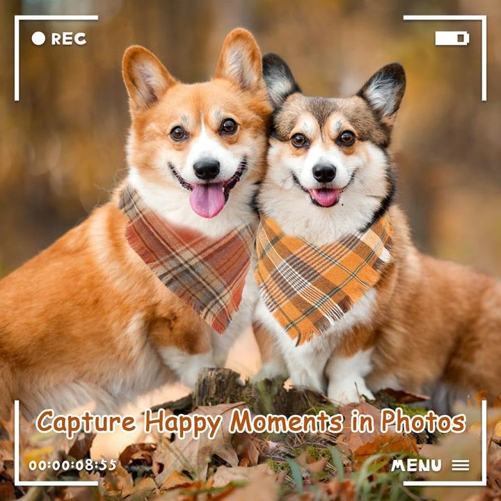 Halloween Dog Bandana, 2 Pack Fall Thanksgiving Classic Plaid Dog Scarf with Tassels Edges, Funny Pet Apparel & Accessories Costume for Photo Prop, and Party Decor (Large, Yellow&Orange)