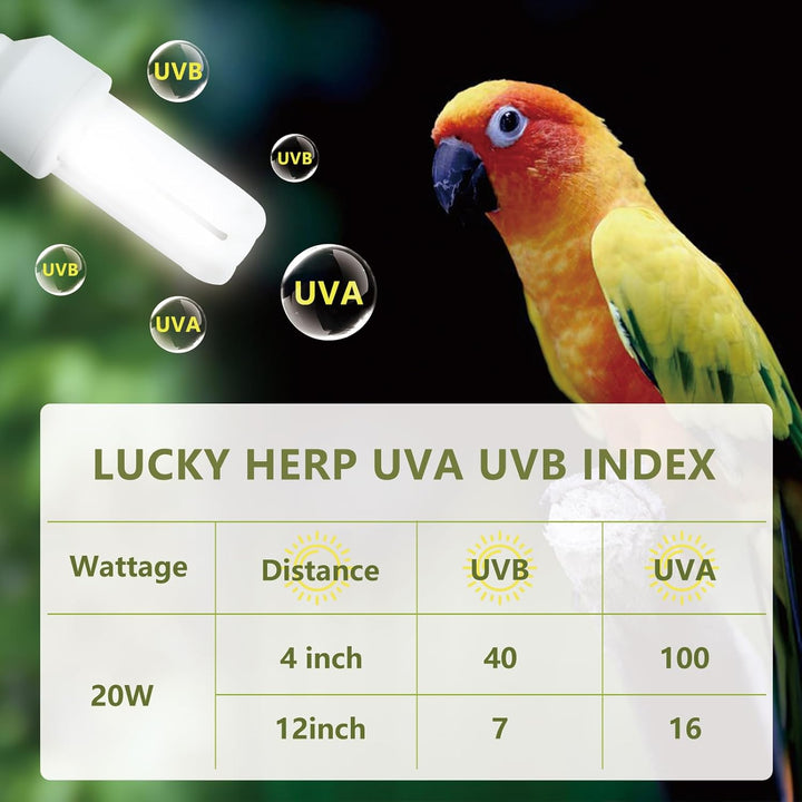 UVA UVB Light Bulb for Birds 2.4 UVB 20W Compact Flourescent Lamp for All Kinds Captive Birds