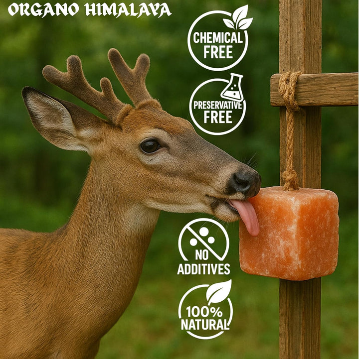 ® Himalayan Salt Lick on Rope 7.5-8 Lbs Each (Pack of 2) | for Horses,Deer,Goat,Cattle & Livestock | 100% Natural Mineral Rich Supplement | Sturdy Long-Lasting Block