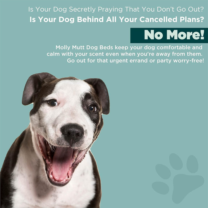 Water-Resistant Dog Bed Liner, Nylon Bed Liner for Dogs, Easy to Clean, Gray, Round, 36”X36”X4.75”