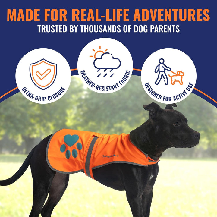 Reflective Dog Vest. Hi-Visibility, Fluorescent Blaze Orange Dog Vest Helps Protect Your Best Friend. Safeguard Your PUP from Motorists & Hunting Accidents, on or off Leash (Large)