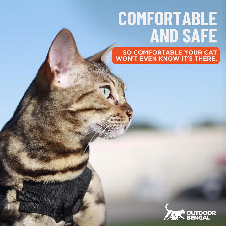 Houdini™ Escape Proof Cat Harness and Leash Set by  – Black, Medium Cat Harness for Walking