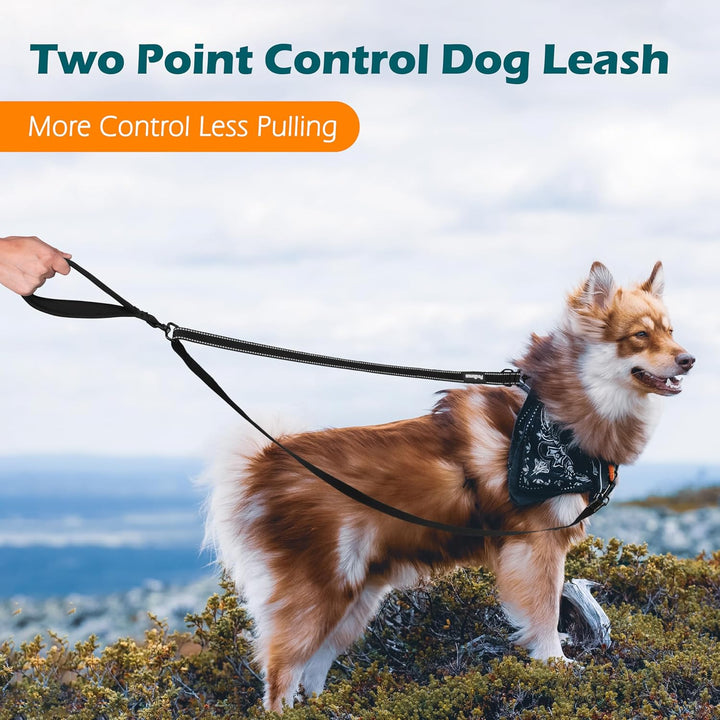 Two Point Control Dog Leash, Works with No Pull Harnesses, No Tangle Training Leashes, Soft Padded and Reflective Walking Lead, Converts to Single Lead for Medium Large Dogs (Black)
