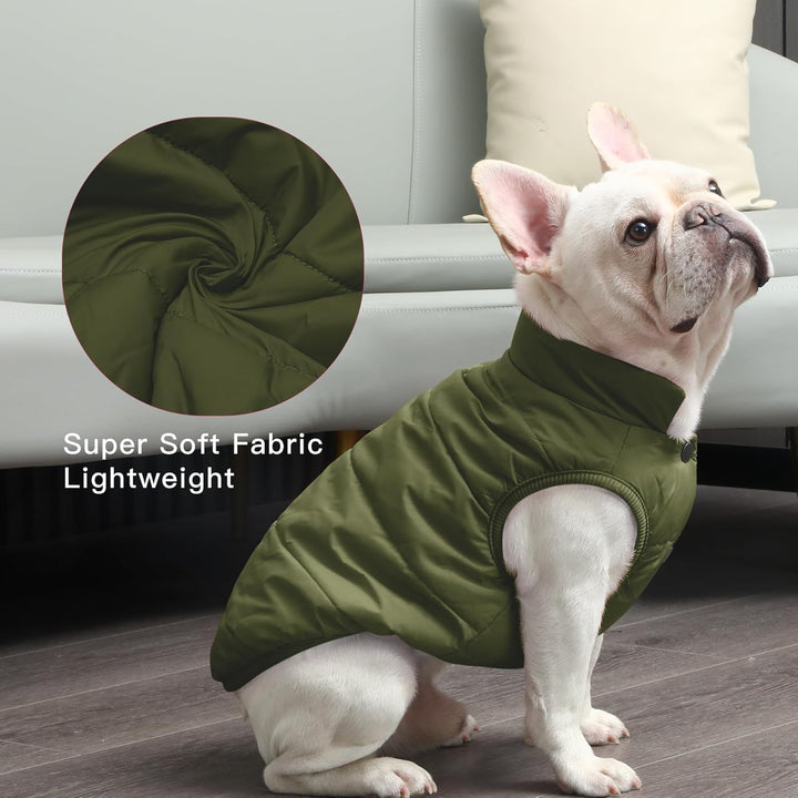 2 Layers Fleece Lined Warm Dog Jacket for Puppy Winter Cold Weather,Soft Windproof Small Dog Coat,Green S