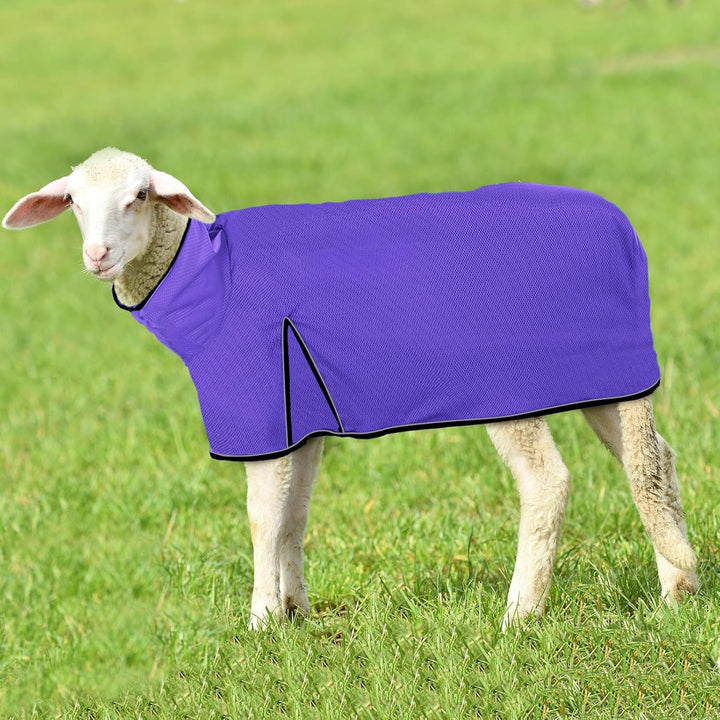 2 Pcs Sheep Blanket Mesh Medium Goat Blanket with Mesh Butt and Adjustable Belly Strap Fits Lambs 110-140 Lbs for Show Lambs, Offers Effective Protection from Fly Bites (Blue, Purple)