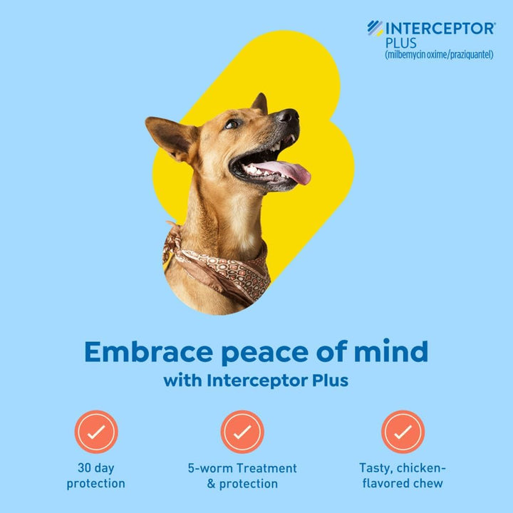 plus Prevention for Heartworm + 4 Other Worms for Dogs 50.1-100 Lbs. | 6 Chews, 6-Month Supply