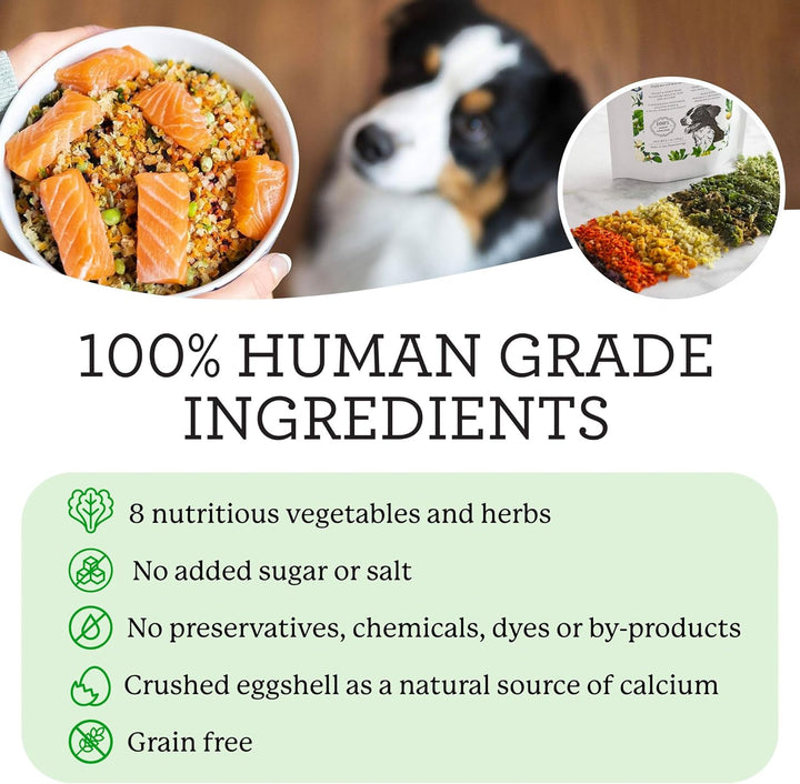 Veg-To-Bowl Dog Food, Human Grade Dehydrated Base Mix for Dogs, Grain Free Holistic Mix (3 Pound)