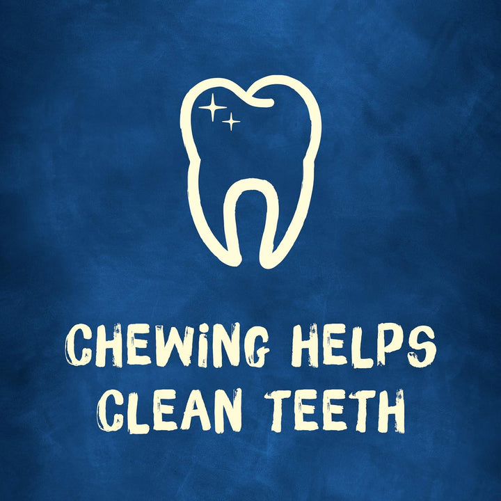 Bone Small Breed Adult Dog Chew Bone Treats, Mini - 20 Ct. Pouch