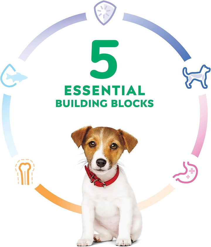 Puppy, Puppy Premium Nutrition, Small Kibble, Dry Dog Food, Chicken & Brown Rice, 4.5 Lb Bag