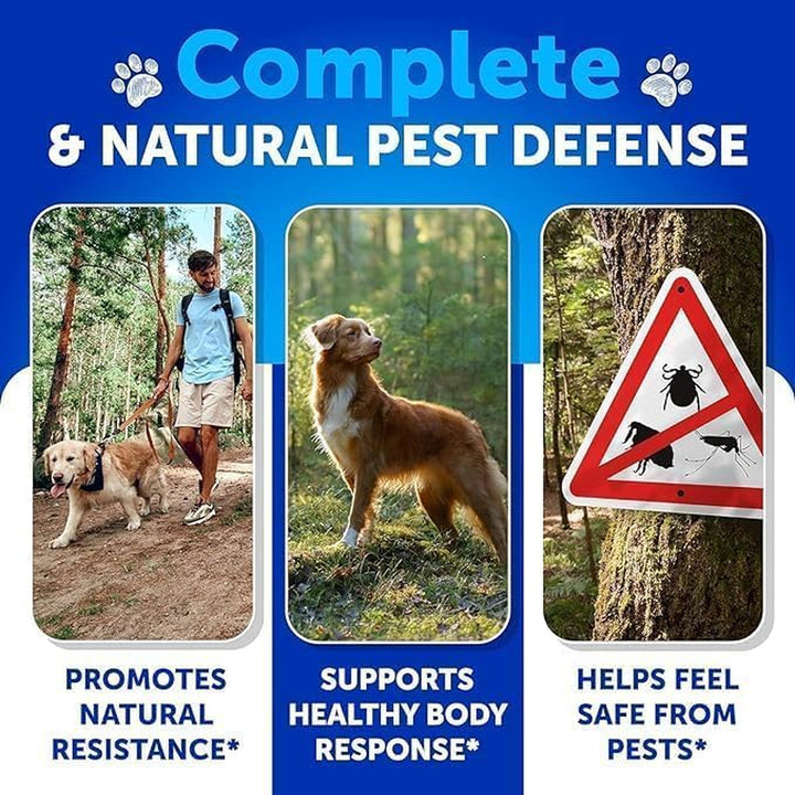 Flea and Tick Prevention for Dogs Chewables - Natural Flea Treatment Control - Supplement for Large & Small Dogs with Vitamins - Immune Support Chews - Puppy Pest Defense Oral Pills - 120 Soft Treats