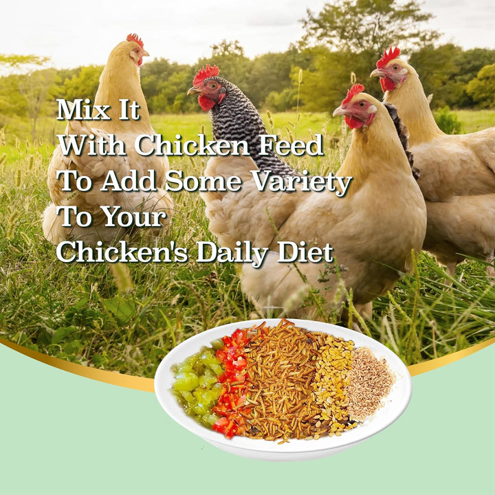 5LB Dried Black Soldier Fly Larvae, More Calcium than Dried Mealworms, High Protein Chicken Feed,Duck Food, BSFL, Duck Treats