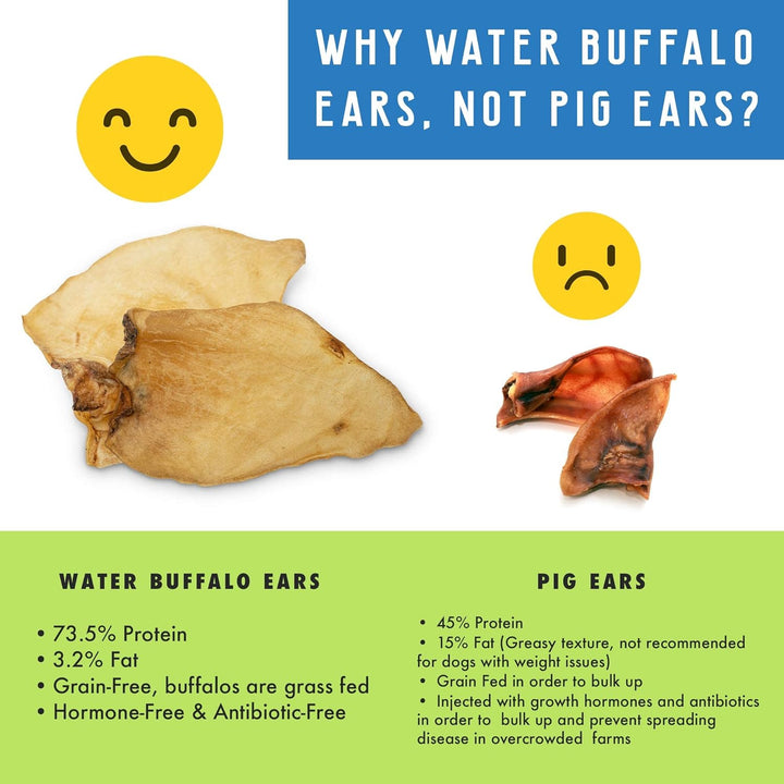 Grass Fed Water Buffalo Ear 16 Count (Pack of 1) Pig Ears for Dogs Alternative Free Range Long Lasting Dog Chew and Treat for Aggressive Chewers and Puppies