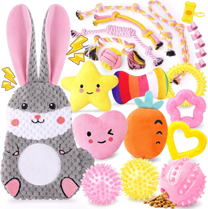 25 Pack Luxury Dog Chew Toys for Puppy, Dog Toys with Ropes, Treat Ball and Squeaky Puppy Toys for Teething Small Dogs