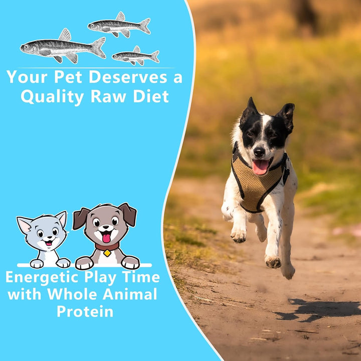 Minnows - 8.5 Oz Freeze Dried Minnows for Cats & Dogs - 100% Natural Premium Cat & Dog Treat (8.5 OZ)