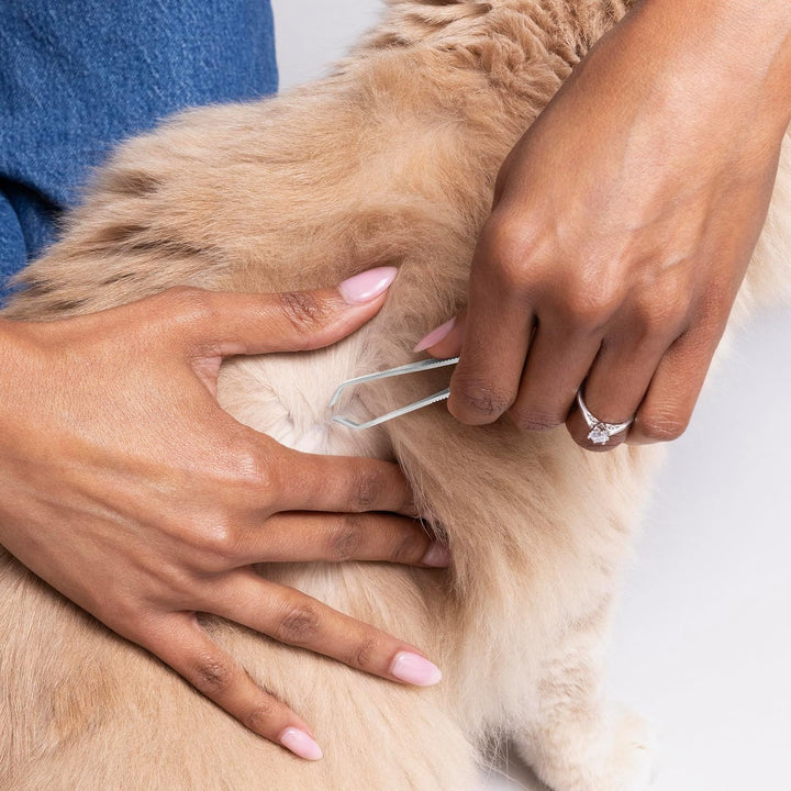 Pet Tick Removal Tweezer, Tick Removal Tool for Dogs and Cats