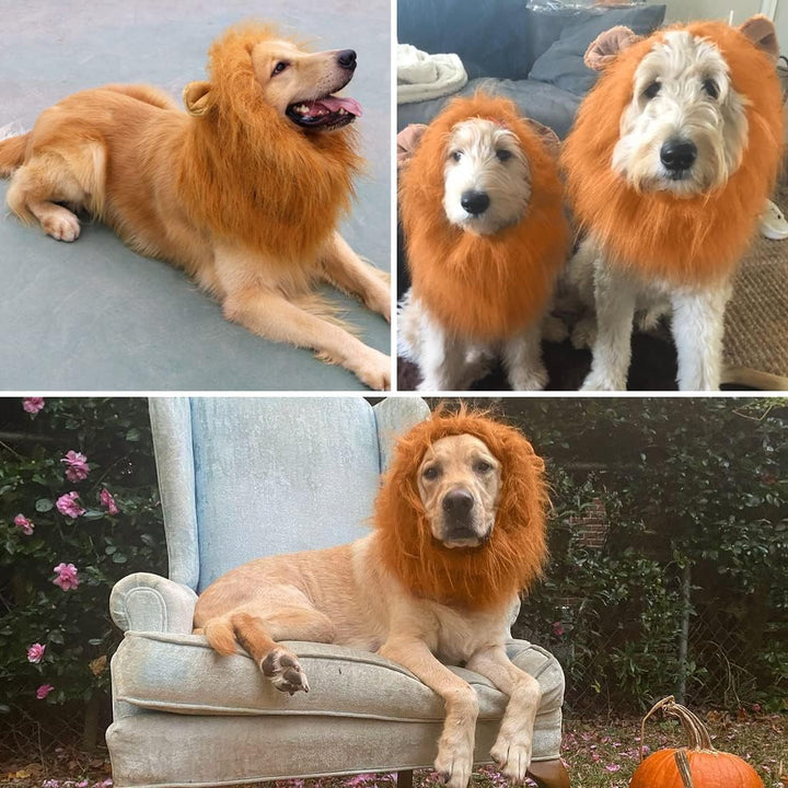 Lion Mane for Dog Costumes, Realistic Wig for Medium to Large Sized Dogs, Halloween Costumes (Brown)