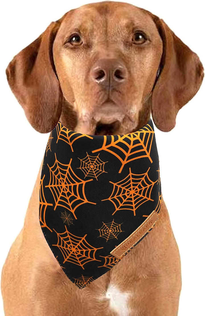 Halloween Dog Bandanas 2 Pack, Pumpkin and Spider Web Bibs, Triangle Reversible Fall Pet Scarf, Premium Durable Fabric, Adjustable Fit (Large)
