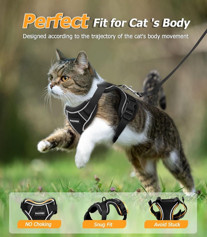 Cat Harness and Leash Set - MAX Safety 4Th-Gen Upgrade, Escape Proof, Adjustable, Comfortable Soft Vest, Easy to Wear Kitten Harness with Reflective Strip for Cats Walking - Small Black