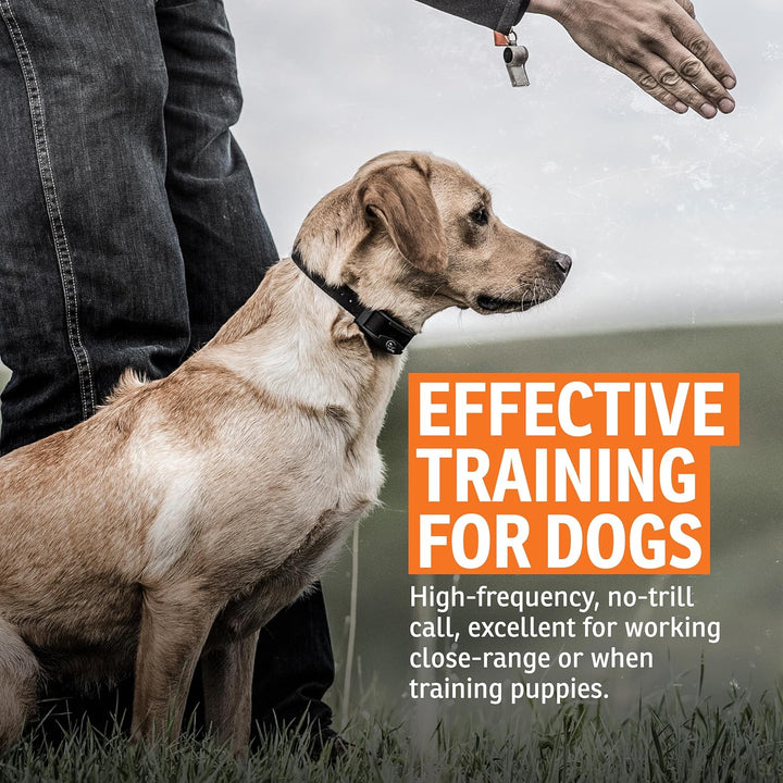 Brand Roy Gonia Special Whistle without Pea - Hunting Dog Training Whistle with Easy-To-Blow Design - Orange