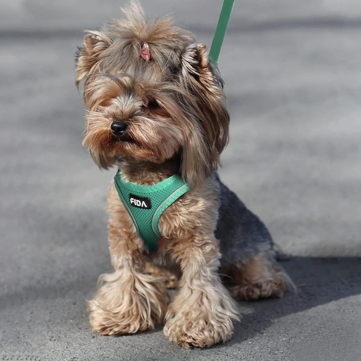 Cat Harness and Leash Set for Walking Kitten and Puppy, Escape Proof Kitten Harness with Breathable Lightweight Soft Mesh, Adjustable Reflective Step-In Design. (XXXS, Green)