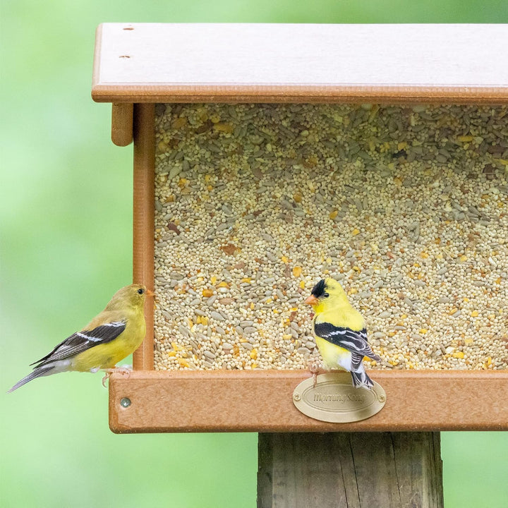 Clean & Free Shell Free Wild Bird Food, Premium No Mess Bird Seed for outside Feeders, 10-Pound Bag