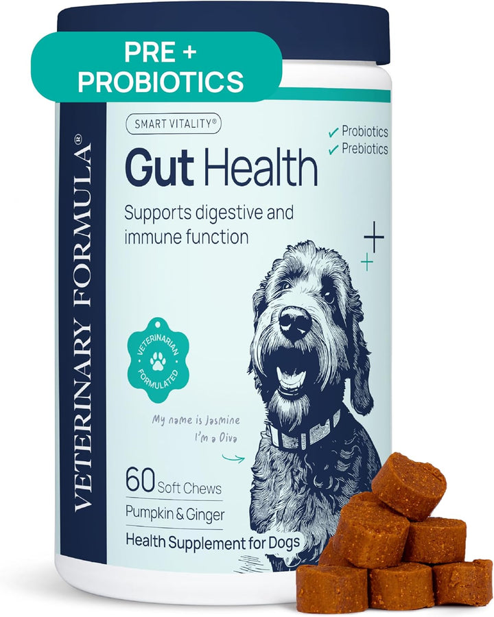 Anal Gland Support for Dogs – Vet-Formulated No Scoot Chews with Pumpkin, Ginger, Agave Inulin & Probiotics – Supports Scooting, Stool Quality & Digestive Health, 60 Soft Chews