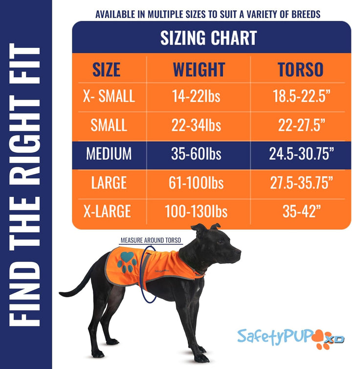 Reflective Dog Vest. Hi-Visibility, Fluorescent Blaze Orange Dog Vest Helps Protect Your Best Friend. Safeguard Your PUP from Motorists & Hunting Accidents, on or off Leash (Medium)