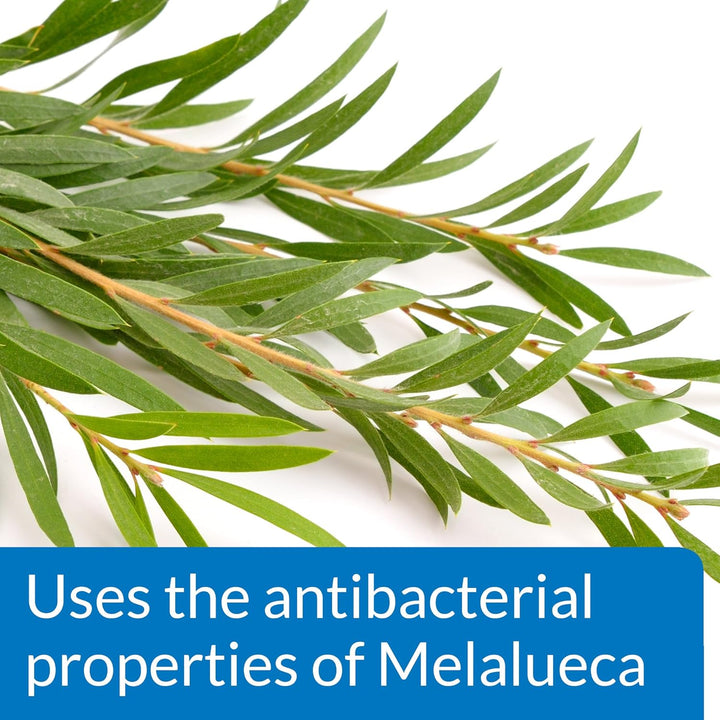 POND MELAFIX Pond Fish Remedy 16-Ounce Bottle