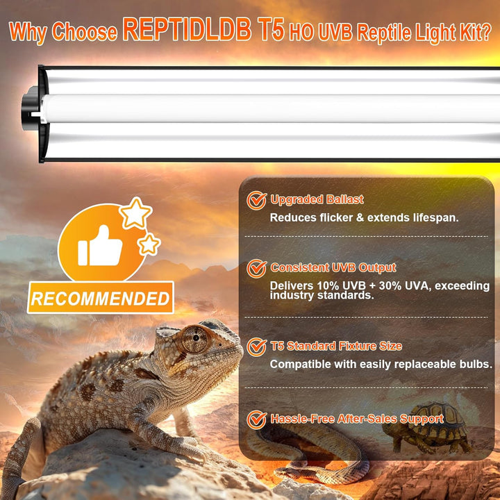 8W T5 10.0 UVB Reptile Light Fixture 12" – High Output UVA UVB Light for Bearded Dragons, Turtles & Snakes – Compact UVB Lamp for Desert & Tropical Reptiles (UVB 10.0-Desert, 12INCH-8W)