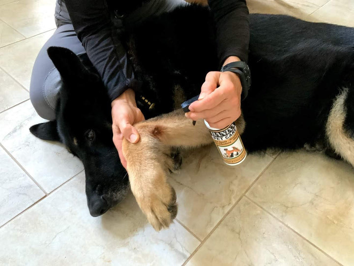 Pet Care for Fungal & Bacterial Infections 8Oz