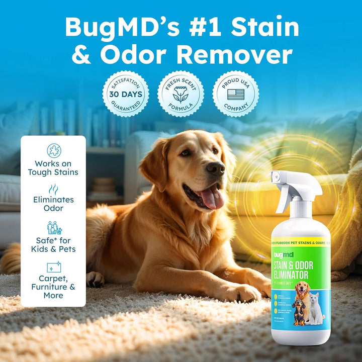 Enzyme Cleaner for Dog & Cat Urine | Pet Stain and Odor Remover for Carpet & Home | Unscented Urine Destroyer & Deodorizer
