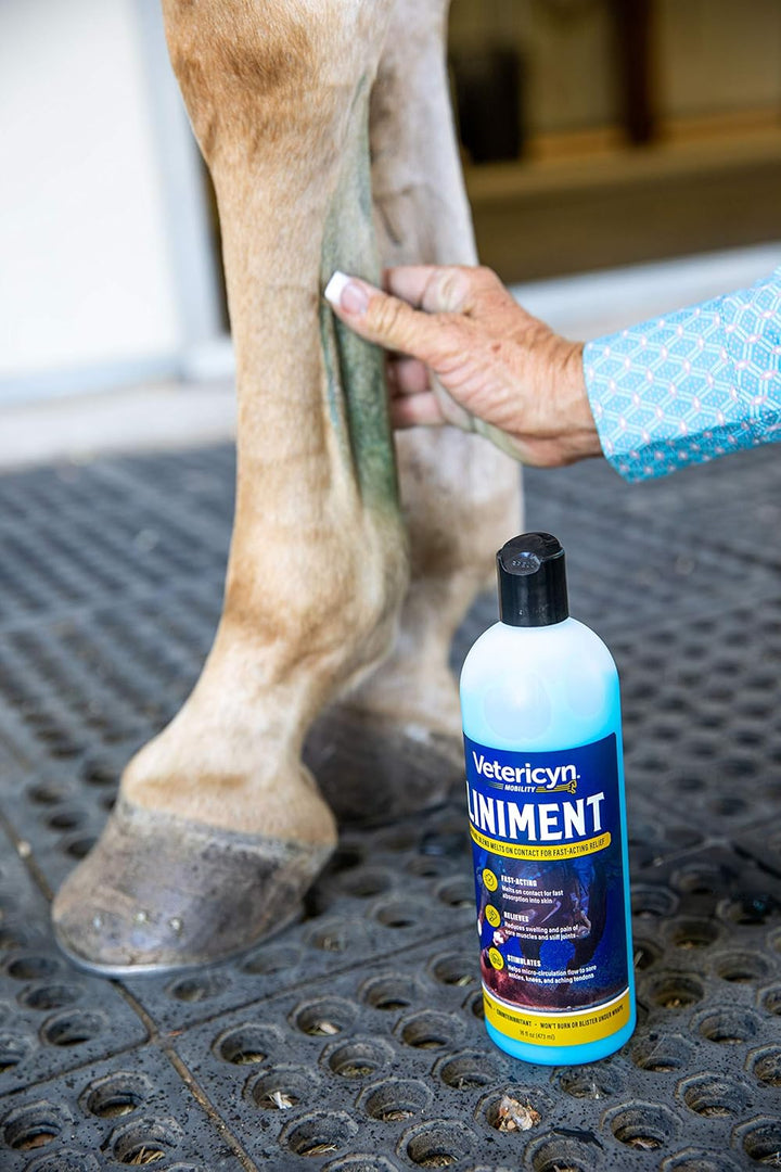 Mobility Equine Liniment for Fast-Acting Relief of Muscles and Joints – Menthol-Based Topical Analgesic for Horses – 16 Ounces
