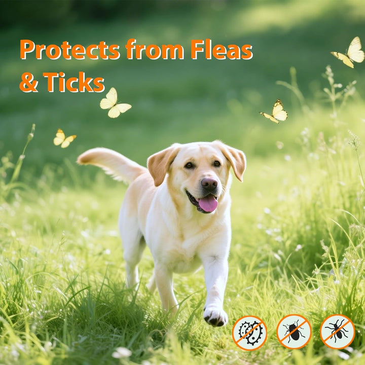 Flea and Tick Prevention for Dogs Chewables, Natural Dog Flea and Tick Treatment Chewable Supplement, Chicken Flavor 180 Count for All Breed Sizes