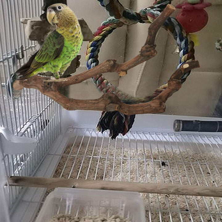 Natural Parrot Perch Bird Stand Pole Wild Grape Stick Paw Grinding Fork Parakeet Climbing Standing Branches Toy Chewable Cage Accessories for Small Budgies Cockatiels Lovebirds 3PCS
