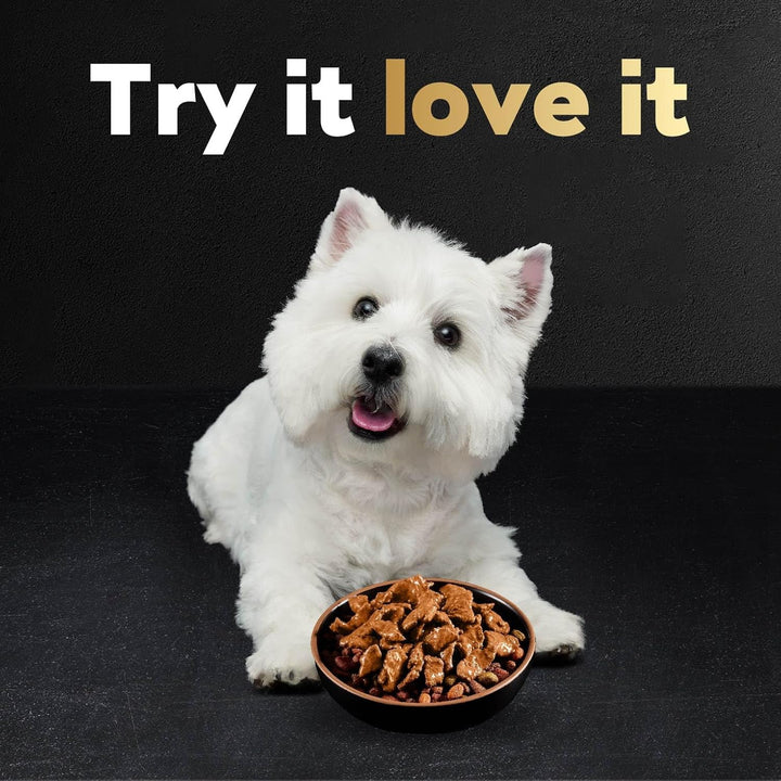 Filets in Gravy Wet Dog Food Filet Mignon Flavor, 1.76 Oz. Mini-Pouch (20 Count, Pack of 1)