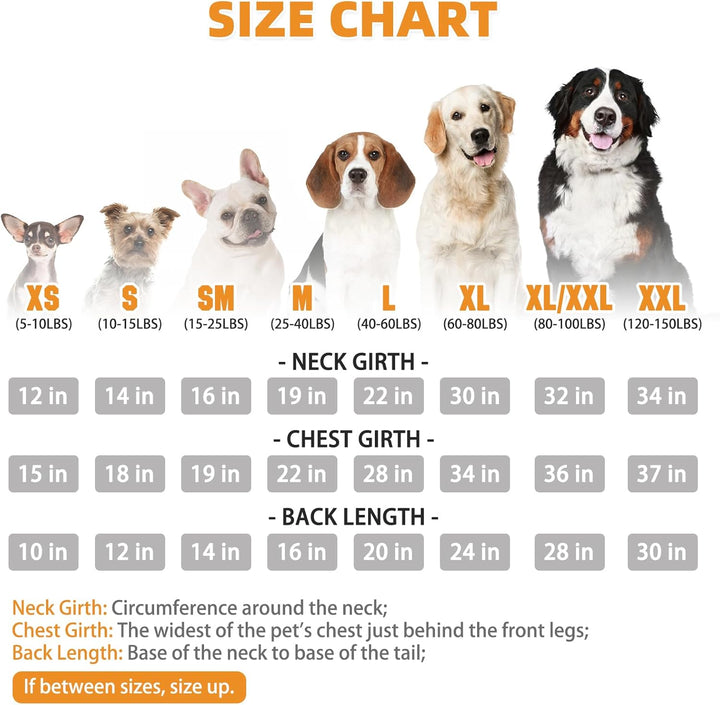 Plaid Dog Hoodie Pet Clothes Sweater with Hat and Pocket for Small Medium Large Size Dogs, Soft Winter Warm Dog Cold Weather Coat, Fleece Fall Dog Hooded Sweatshirt for Puppy Cats, Red XL